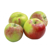 Obuoliai JONAGOLD (75-85 mm), 1 kg